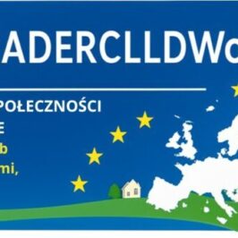 Prośba o podpisanie petycji dot. budżetu UE 2028–2034